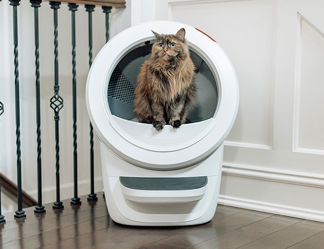 Buy Litter Robot 4 Cat Litter Tray - White | Cat litter and litter trays |  Argos