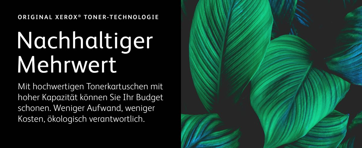 Große lebendige und gesunde tropische Blätter, die sich überlappen