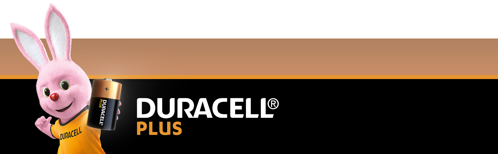Duracell Plus AAA Batteries (12 Pack) - Alkaline 1.5V - Up To 100% Extra  Life - Reliability For Everyday Devices - 0% Plastic Packaging - 9 Year
