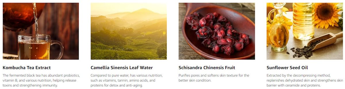 Kombucha Tea Extract/ Camellia Sinensis Leaf Water/ Schisandra Chinensis Fruit/ Sunflower Seed Oil