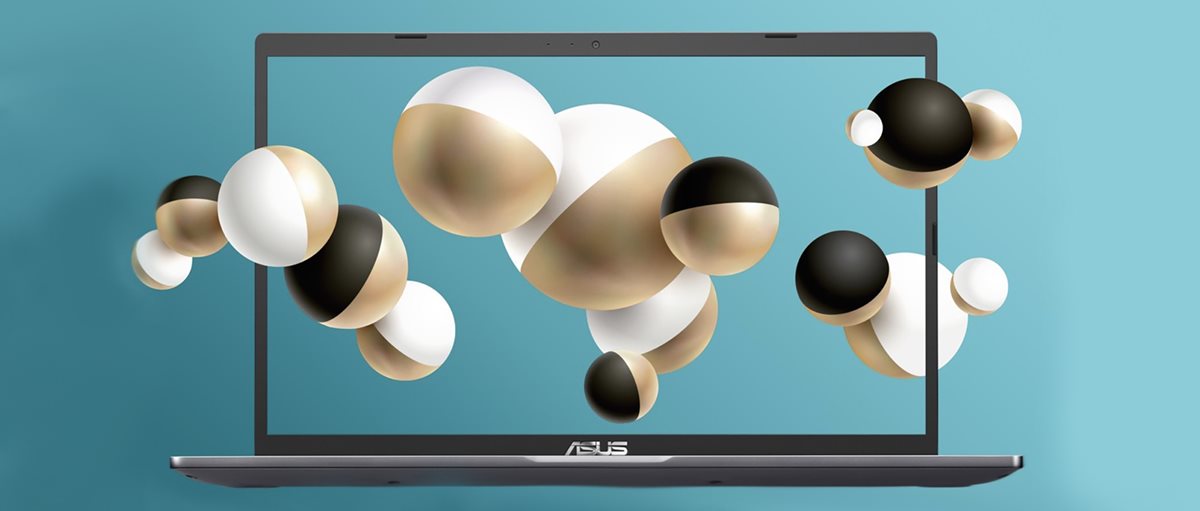 ASUS Laptop - D515DA