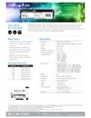 open a new tab with document
