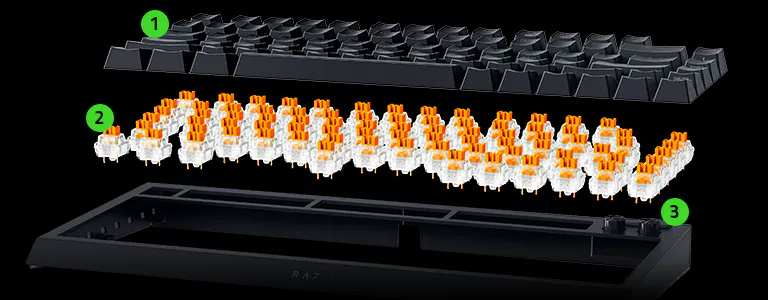 Razer BlackWidow V4 75% - Thumbnail 4