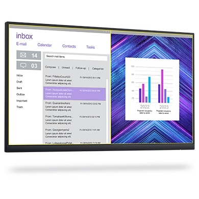 Dell Display Manager