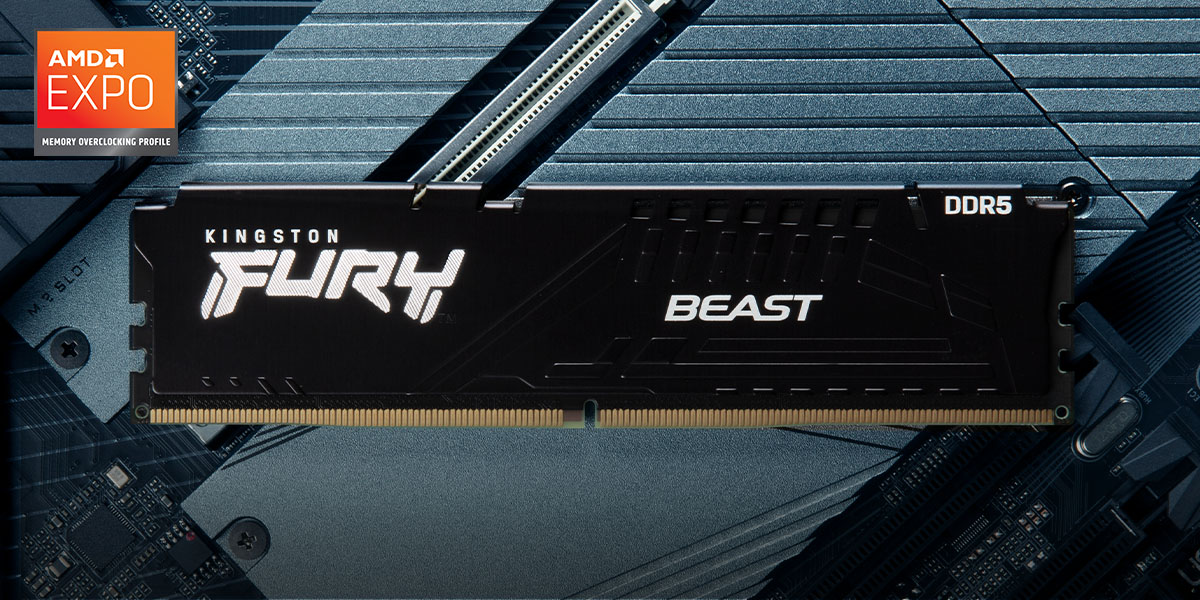 Memoria RAM Kingston 32GB DDR5 6000MT/s CL36 | Centrale