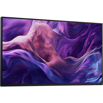 Dell 24 Monitor – P2425H WOST