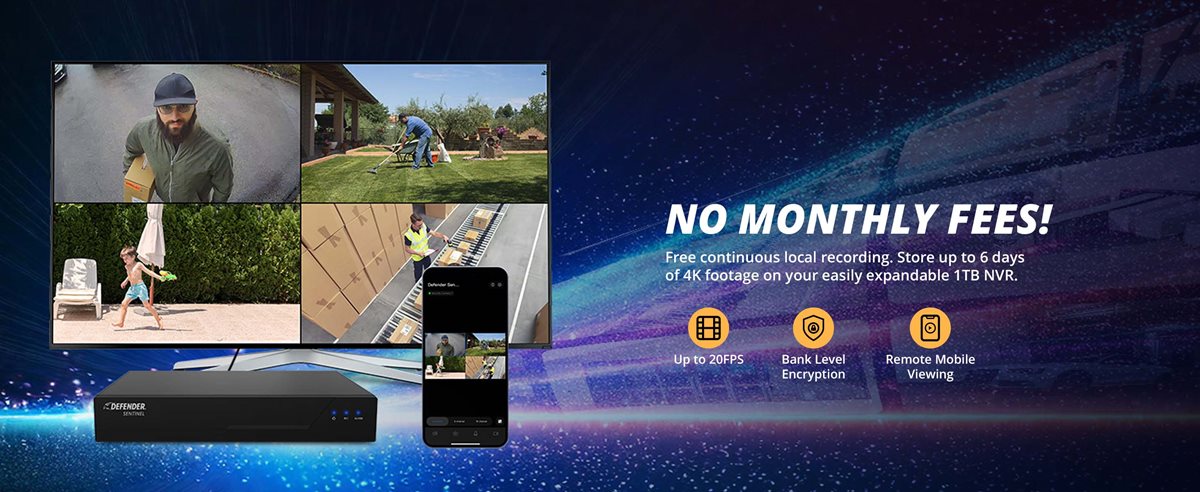 NO FEES