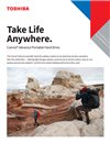 open a new tab with document