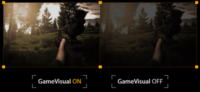 Screenshot with GameVisual FPS mode mode ON and OFF