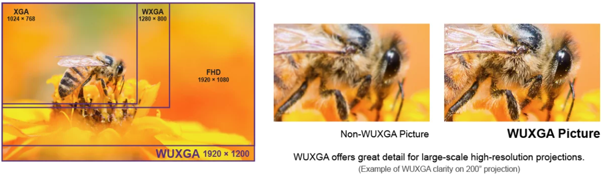 WUXGA Resolution for Enhanced Detail and Expanded Content