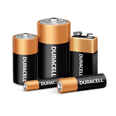 Duracell Coppertop AA Alkaline Batteries, 48 ct. | BJ's Wholesale Club