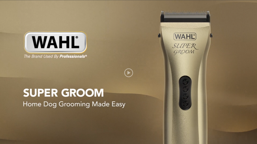 Dog sales shavers argos