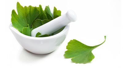Ginkgo Biloba Tree Leaves