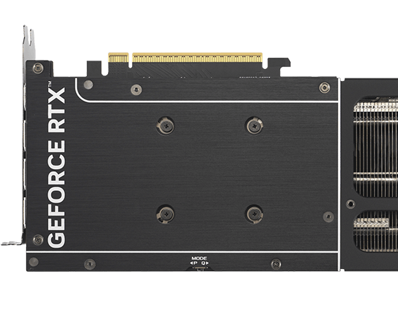 SCHÜTZENDE BACKPLATE