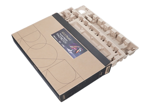 ProArt Display PA278CGV Verpackung