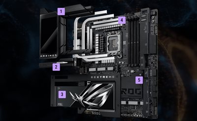 SVALARE GENOM DESIGN