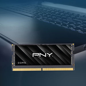 PNY 32GB (2 x 16GB) 262-Pin DDR5 SO-DIMM DDR5 5600 (PC5 44800