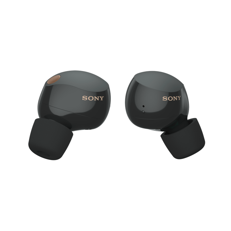 Buy Sony WF1000XM5 ANC In-Ear True Wireless Earbuds - Black