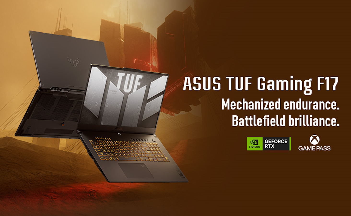 ASUS TUF Gaming F17 FX707 FX707VV-RS74 17.3