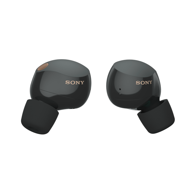 Buy Sony WF1000XM5 ANC In-Ear True Wireless Earbuds - Black