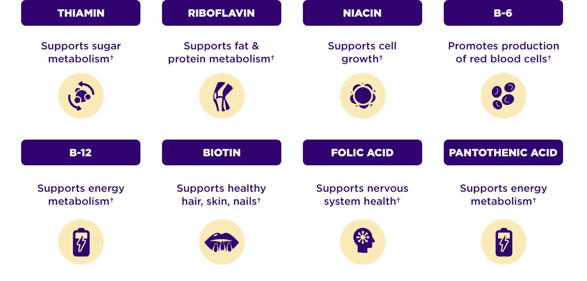 Thiamin – Supports sugar metabolism, Ribolfavin – Supports fat & protein metabolism, Niacin – Supports cell growth, B-6 – Promotes production of red blood cells, B-12 – Supports energy metabolism, Biotin – Supports healthy hair, skin, nails. Folic Acid – Supports nervous system health. Pantothenic Acid – Supports energy metabolism