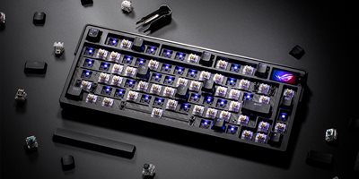 Hot-swappable switche