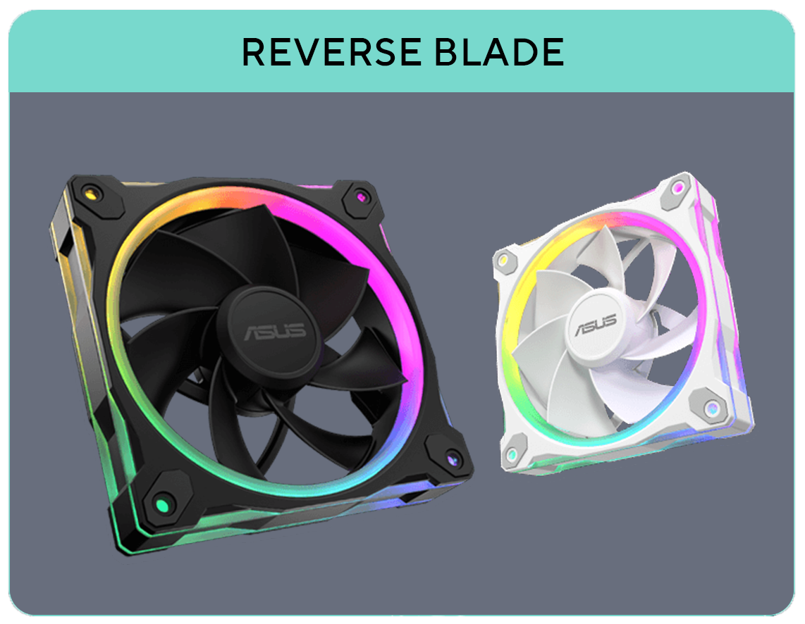 Image des Produktes