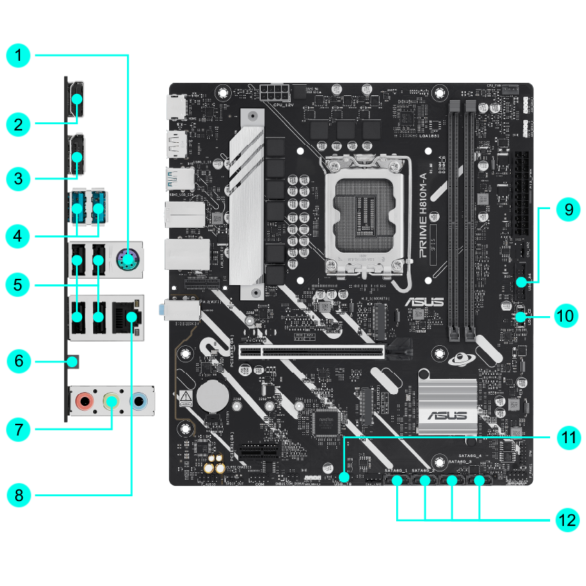 ASUS PRIME H810M-A-CSM motherboard micro ATX LGA1851 Socket