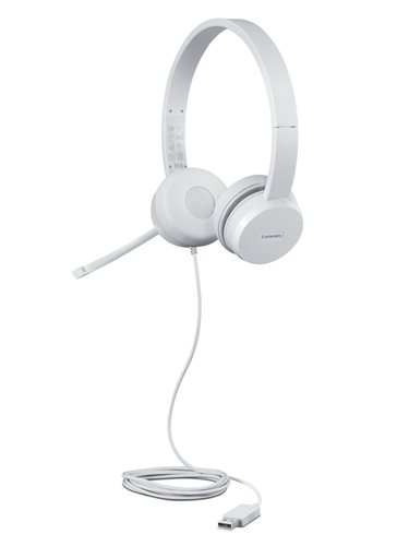 Lenovo 110 Stereo USB Headset