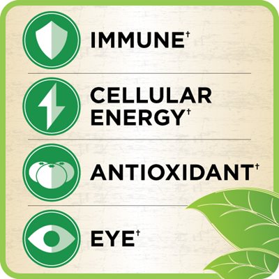 Hình minh họa các biểu tượng và lợi ích sức khỏe của sản phẩm: Hệ miễn dịch, Năng lượng tế bào, Chống oxy hóa, Mắt.