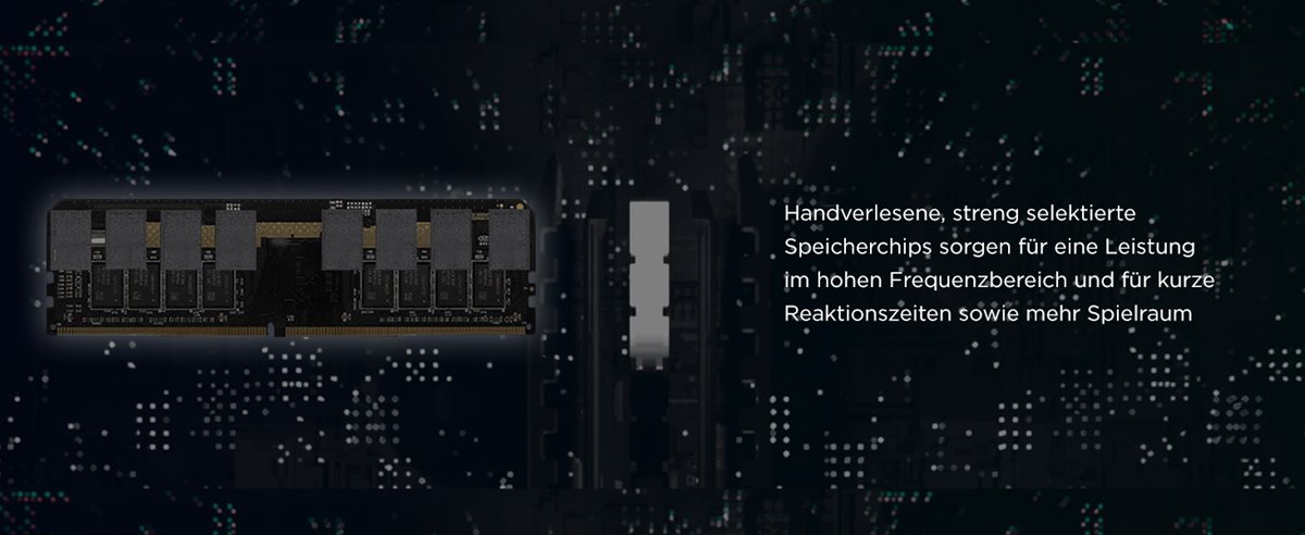 Image des Produktes
