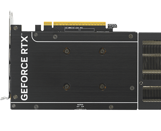 SCHÜTZENDE BACKPLATE