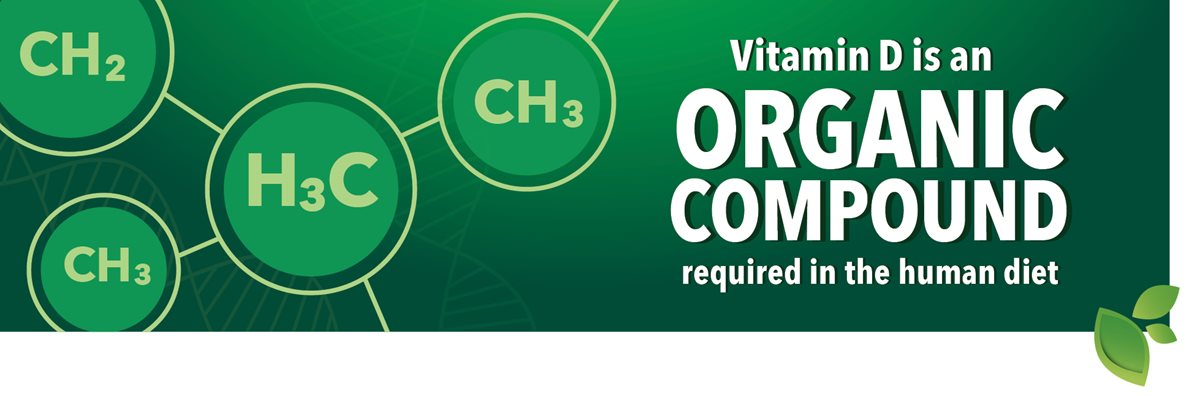 Vitamin D là một hợp chất hữu cơ cần thiết trong chế độ ăn uống của con người.