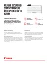 open a new tab with document