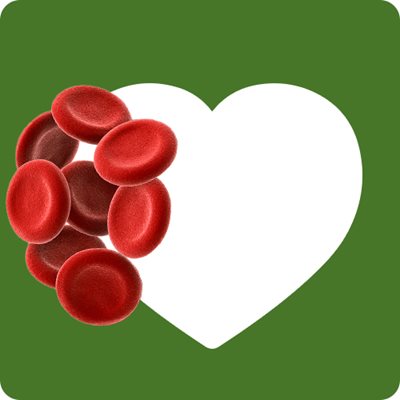 Biểu tượng trái tim với các tế bào hồng cầu
