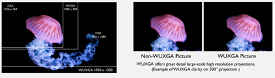 WUXGA Resolution for Enhanced Detail and Expanded Content