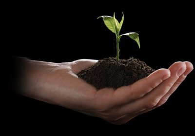 Schont Ihr Budget und die Umwelt