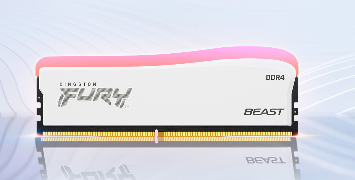 Kingston FURY Beast Special Edition 32GB (2x16GB) 3600MT/s