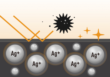 With Antibacterial Treatment