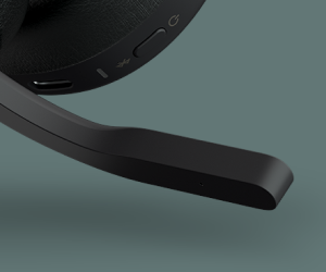 Jabra Evolve2 65 Flex USB-C MS Stereo Headset (26699-999-899-01)