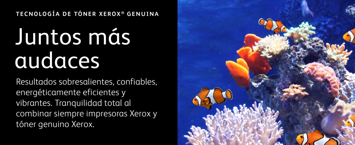Corales marinos tropicales brillantes con peces payaso