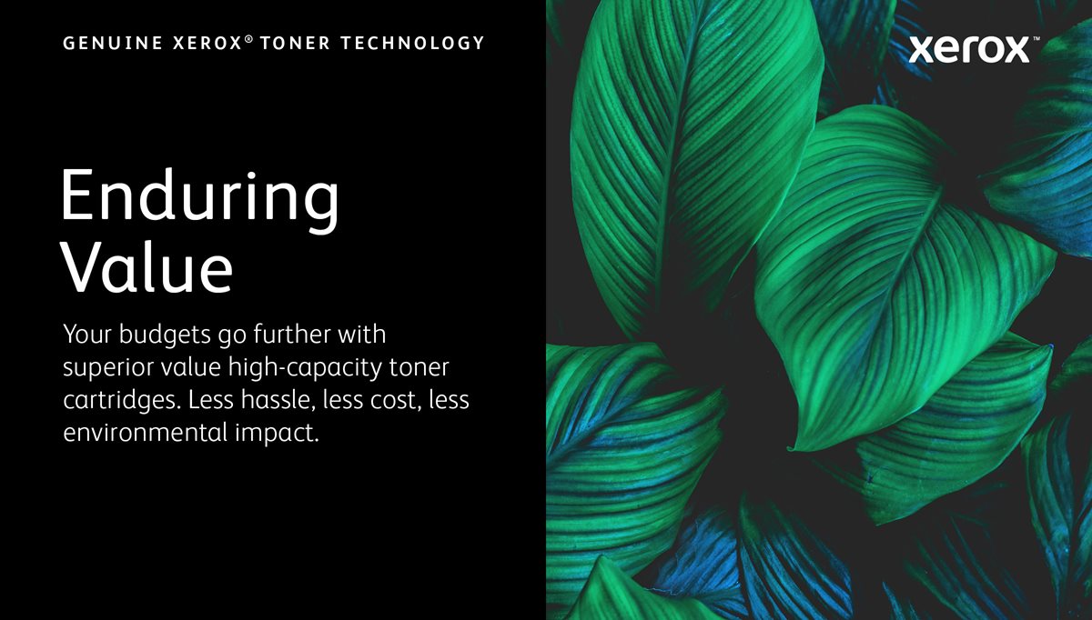 Large vibrant and healthy tropical leaves overlapping