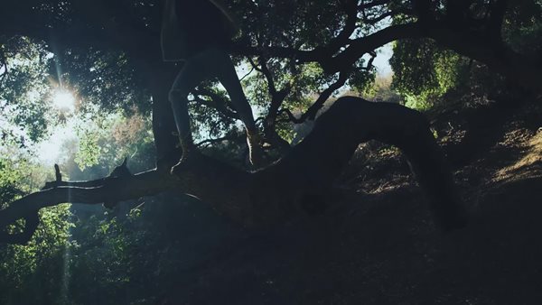 thumbnail video image 2 of Sony SRSXB33 Black Wireless Waterproof Portable Bluetooth Speaker with Extra Bass (2020), 2 of 15