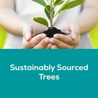 Sustainably Sourced Trees