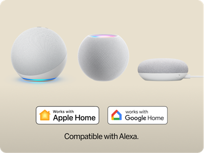 Smart Home, Voice Assistants