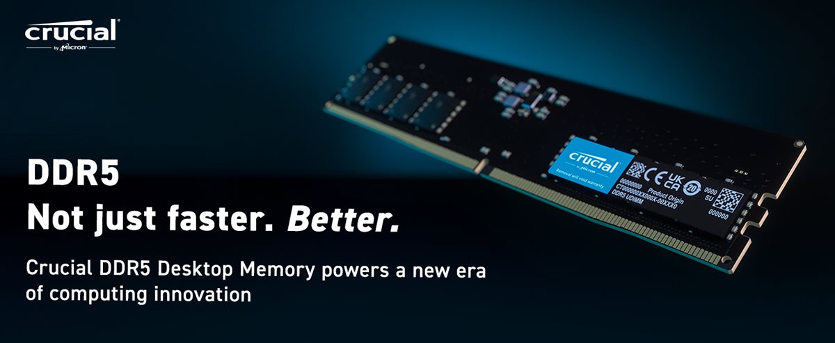 Crucial RAM 16Go DDR5 4800MHz CL40 Mémoire d'Ordinateur Portable  CT16G48C40S5 : : Informatique