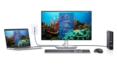 Dell UltraSharp U2422HE 24