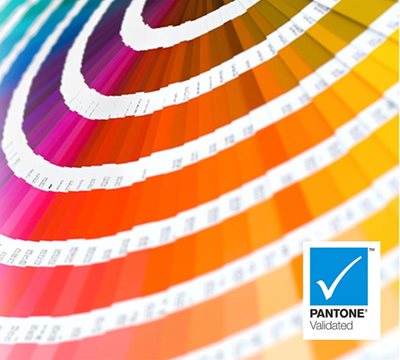 PANTONE VALIDATED DISPLAY