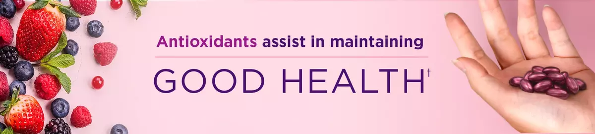 antioxidants assist in maintaining good health