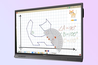 an on screen compass measures the angles of a cat drawn out of lines on a coordinate plane